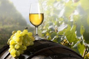 Польза виноградного вина